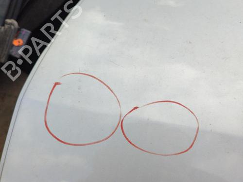 Left rear door DACIA SANDERO 1.5 dCi | BP21742886C4