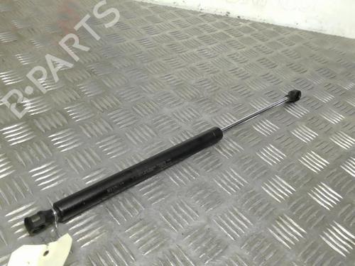Used Tailgate lift support RENAULT TWINGO I (C06_) 1.2 (C066, C068) (58 hp) 21738244