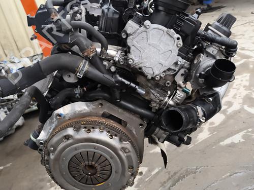 Engine VW POLO V (6R1, 6C1) 1.6 TDI | BP22008631M1 