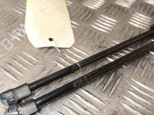 Tailgate lift support BMW X5 (E53) 3.0 d | BP22006848C138 