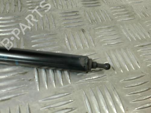 Hood lift support RENAULT MEGANE III Coupe (DZ0/1_) 1.5 dCi (DZ0A) | BP21742849C139