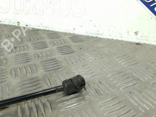 Used Hood lift support VW PASSAT B6 (3C2) 1.9 TDI (105 hp) 21747275