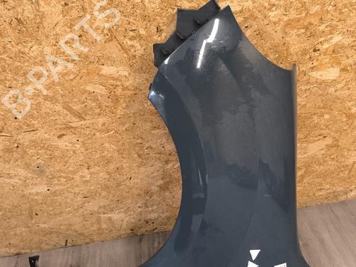 Left front fenders RENAULT KANGOO Express (FW0/1_) 1.5 dCi 85 (FW0K, FW0L, FW0B) | BP22439546C41 