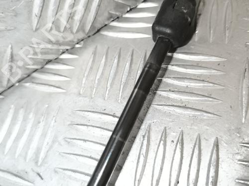 Hood lift support RENAULT MEGANE III Hatchback (BZ0/1_, B3_) 1.5 dCi | BP22015477C139 