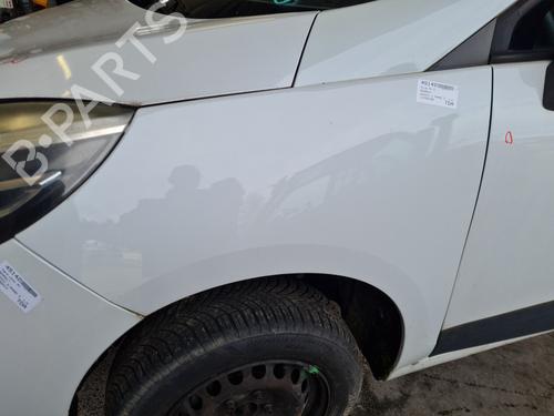 Left front fenders RENAULT SCÉNIC III (JZ0/1_) 1.5 dCi | BP29981622C41