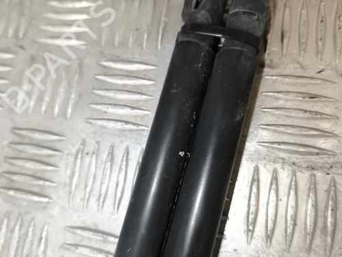 Tailgate lift support LAND ROVER FREELANDER 2 (L359) 2.2 SD4 4x4 | BP22011999C138 
