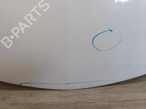 Hood RENAULT CLIO III (BR0/1, CR0/1) 1.5 dCi (C/BR0G, C/BR1G) | BP21737393C1 
