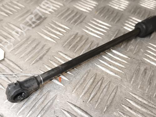 Hood lift support VW CADDY III Box Body/MPV (2KA, 2KH, 2CA, 2CH) 2.0 TDI 16V | BP22732849C139 