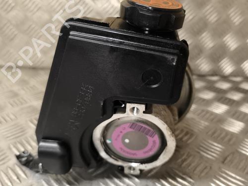 Steering pump PEUGEOT 206+ (2L_, 2M_) 1.1 | BP24941096M99 