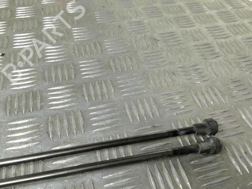 Tailgate lift support AUDI A3 (8P1) 2.0 TDI 16V | BP21735555C138 