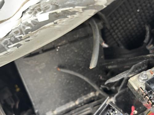 Tailgate RENAULT CLIO IV (BH_) 1.5 dCi 90 | BP30974040C6 