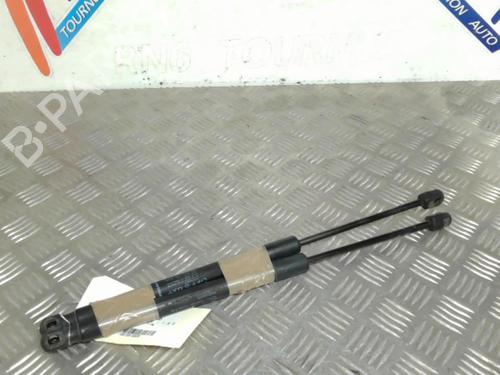 Used Tailgate lift support RENAULT MEGANE III Hatchback (BZ0/1_, B3_) 1.9 dCi (BZ0N, BZ0J) (131 hp) 21746743