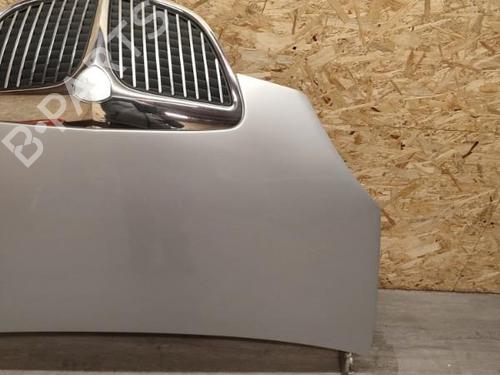 Used Hood LANCIA MUSA (350_) 1.9 D Multijet (350.AXC1A) (101 hp) 21730045