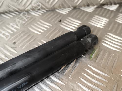 Tailgate lift support FORD KUGA I 2.0 TDCi | BP25037764C138 
