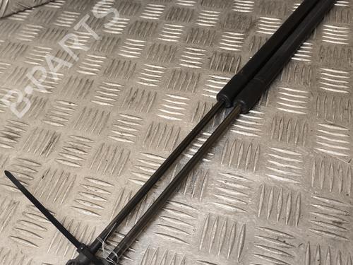 Used Tailgate lift support NISSAN QASHQAI / QASHQAI +2 I (J10, NJ10, JJ10E) 1.5 dCi (103 hp) 22009556