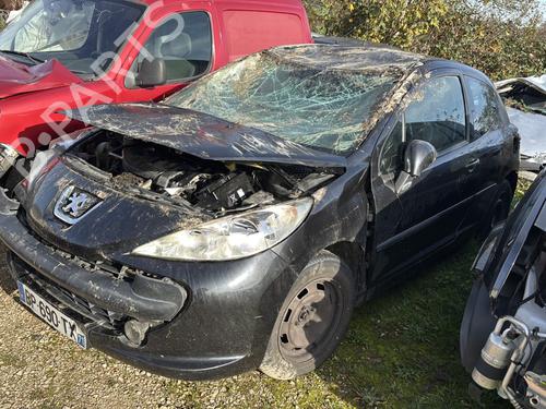 Brugte PEUGEOT 207 (WA_, WC_) 1.4 HDi (68 hp) 4357087