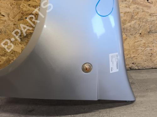 Left front fenders FIAT PUNTO (188_) 1.2 60 (188.030, .050, .130, .150, .230, .250) | BP25296782C41 