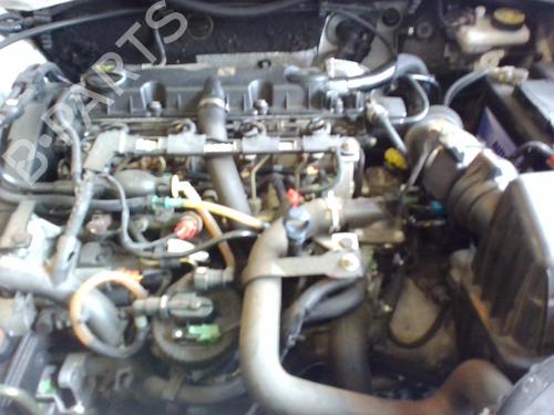 Right front door PEUGEOT PARTNER Box Body/MPV (5_, G_) 2.0 HDi | BP21742888C3