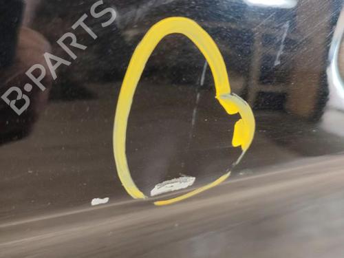 Left front door MERCEDES-BENZ B-CLASS Sports Tourer (W245) B 200 CDI (245.208) | BP21745033C2 