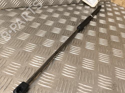 Used Hood lift support RENAULT MEGANE III Hatchback (BZ0/1_, B3_) 1.2 TCe (BZ16, BZ28) (132 hp) 21729225
