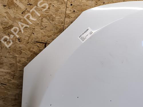 Hood RENAULT MEGANE III Coupe (DZ0/1_) 1.9 dCi (DZ0N, DZ0J, DZ1J, DZ1K) | BP21733427C1 