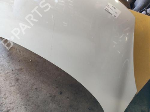 Hood RENAULT SCÉNIC III (JZ0/1_) 1.9 dCi (JZ0J, JZ1J, JZ1K, JZ1S) | BP21742032C1 