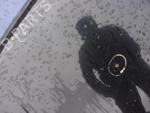 Hood VW GOLF IV (1J1) 1.9 TDI | BP21736661C1 