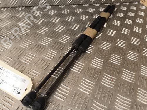 Used Tailgate lift support FIAT 500L (351_, 352_) 1.3 D Multijet (199LXY1A, 199LXY11) (84 hp) 21742262