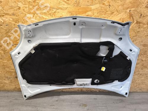 Hood RENAULT KANGOO Express (FC0/1_) 1.5 dCi (FC07, FC1R) | BP29120386C1