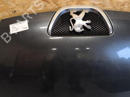 Hood PEUGEOT 107 (PM_, PN_) 1.4 HDi | BP21729055C1