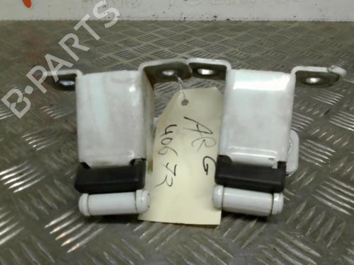 Hinge/Door check strap RENAULT KANGOO Express (FW0/1_) 1.5 dCi 110 (FW0C, FW0H) | BP21743186C146 