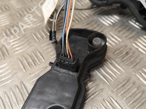 Lamp holder RENAULT MEGANE II (BM0/1_, CM0/1_) 1.9 dCi (BM0G, CM0G) | BP26584373L10 