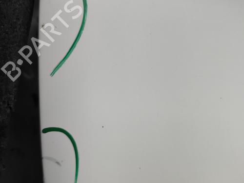 Left front door CITROËN JUMPY II Van 1.6 HDi 90 16V | BP30362489C2