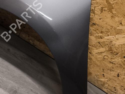 Left front fenders RENAULT GRAND SCÉNIC III (JZ0/1_) 1.9 dCi (JZ0J, JZ0N, JZ1K, JZ1S) | BP22010163C41 