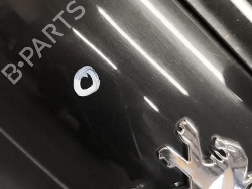 Used Tailgate PEUGEOT 207 (WA_, WC_) 1.6 HDi (90 hp) 21728958