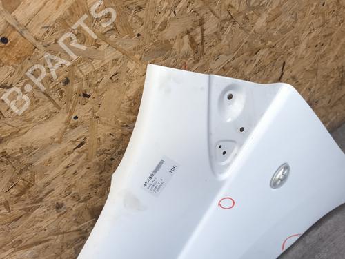 Left front fenders CITROËN JUMPY II Van 2.0 HDi 120 | BP29288195C41