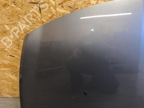 Hood RENAULT CLIO III (BR0/1, CR0/1) 1.2 16V Hi-Flex (BR1U, CR1U) | BP28320516C1 