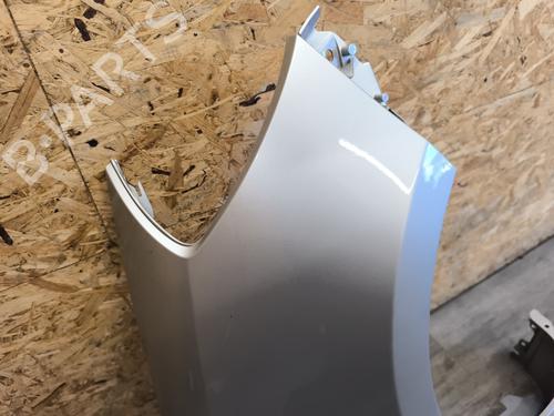 Right front fenders RENAULT CLIO III Grandtour (KR0/1_) 1.5 dCi (KR0G) | BP26740301C42 