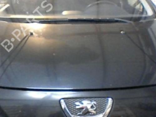 Used Hood PEUGEOT 307 (3A/C) 1.6 HDi 110 (109 hp) 21752562
