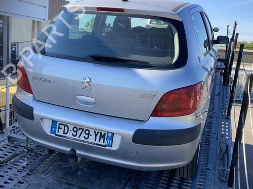 Bakluke CC/Kombi-Kupé PEUGEOT 307 (3A/C) 1.6 16V | BP21746821C6 
