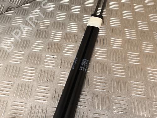 Used Tailgate lift support RENAULT SCÉNIC I MPV (JA0/1_, FA0_) 1.4 16V (JA0D, JA1H, Ja0W, JA10) (95 hp) 24612279