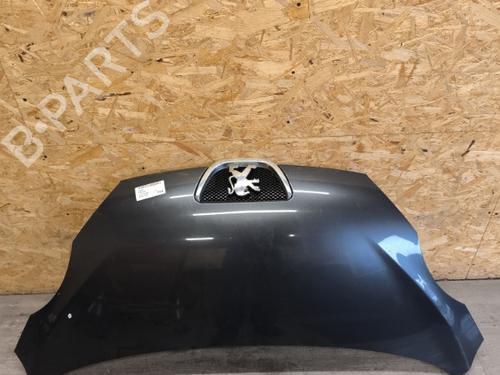 Used Hood PEUGEOT 107 (PM_, PN_) 1.4 HDi (54 hp) 21729055
