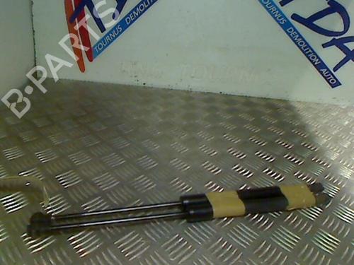 Used Tailgate lift support RENAULT CLIO IV Grandtour (KH_) 1.5 dCi 90 (KHN3, KHN4) (90 hp) 21746677