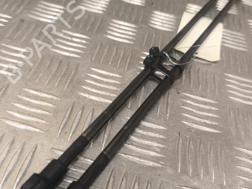 Tailgate lift support SEAT TOLEDO III (5P2) 1.9 TDI | BP21729598C138 