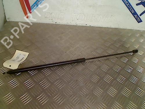 Used Hood lift support RENAULT MEGANE III Hatchback (BZ0/1_, B3_) 1.5 dCi (BZ09, BZ0D, BZ1W, BZ29, BZ14) (110 hp) 21746089
