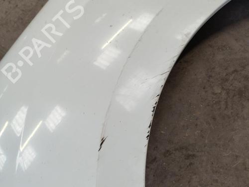 Used Left front fenders RENAULT KANGOO Express (FW0/1_) 1.5 dCi 75 (FW07, FW10, FW04) (75 hp) 21742320