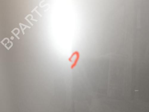 Left rear door RENAULT CLIO III (BR0/1, CR0/1) 1.6 16V (BR05, BR0B, BR0Y, BR15, BR1J, BR1M, BR1Y, CR0B,... | BP22241578C4 