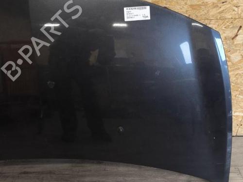 Hood RENAULT CLIO III (BR0/1, CR0/1) 1.5 dCi (BR17, CR17) | BP21749022C1 
