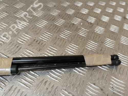 Tailgate lift support CITROËN C4 Picasso I MPV (UD_) 1.6 HDi | BP21737389C138 