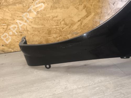Left front fenders RENAULT MEGANE II Coupé-Cabriolet (EM0/1_) 2.0 | BP22557968C41 